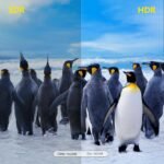 X96Q MAX Smart TV Box Android10 4GB 32GB 5G 8K – Image 3